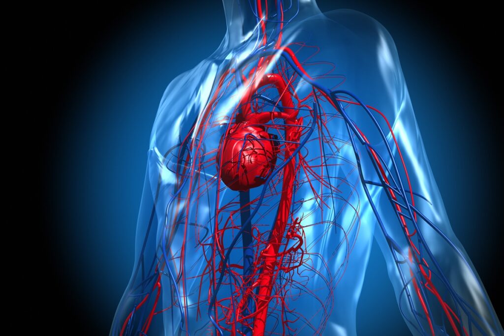 especialista-em-avc-aponta-as-piores-bebidas-para-a-saude-vascular