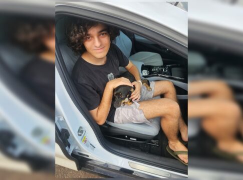 cadelinha-que-fugiu-assustada-com-fogos-e-encontrada-pela-pmdf