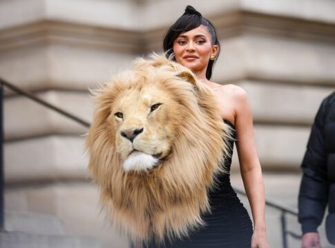 combate-a-crueldade-animal-na-moda-avanca-em-2026;-saiba-o-que-muda