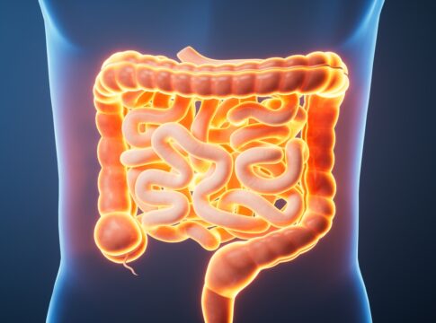 estudo-indica-que-ha-uma-forma-de-regenerar-o-intestino-envelhecido