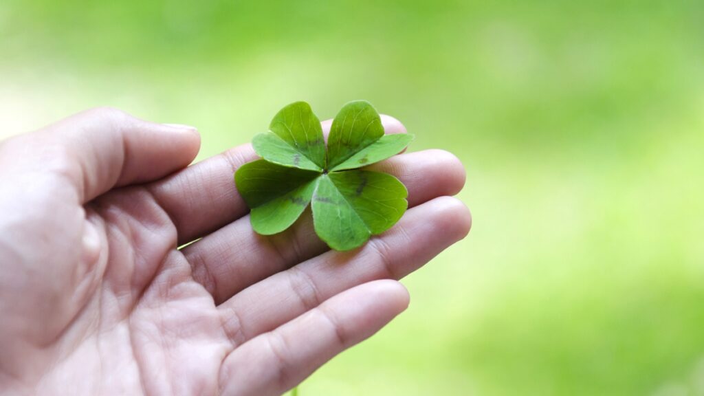 cor-e-numero-da-sorte-de-cada-signo:-como-atrair-clareza-emocional