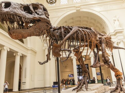 “ela-nao-acredita-em-dinossauros”,-revela-homem-apos-terminar-namoro