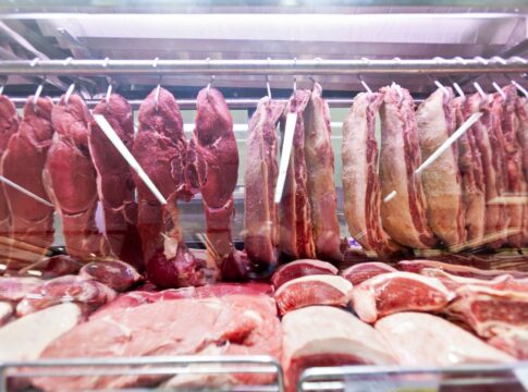 a-campea-das-proteinas:-a-carne-ideal-para-ganhar-massa-magra