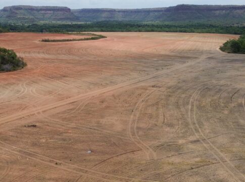 processadoras-de-soja-deixam-acordo-sobre-desmatamento-na-amazonia