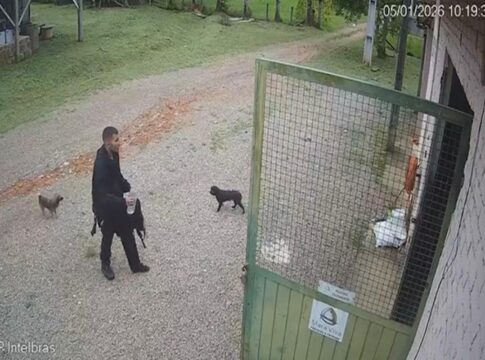 pico-parana:-veja-momento-em-que-jovem-chega-caminhando-a-fazenda.-veja-video