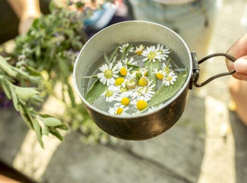 anvisa-recolhe-lote-de-cha-apos-encontrar-larvas-inteiras-no-produto