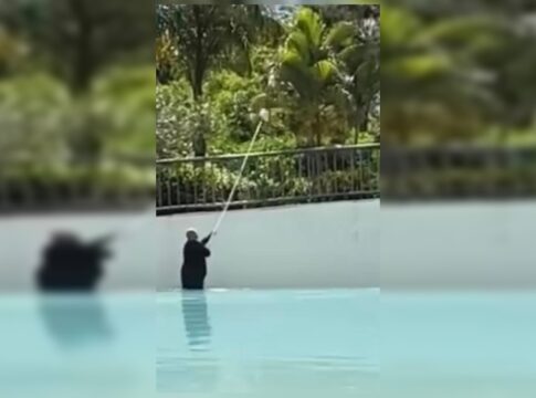 caldas-novas:-fezes-em-piscina-de-ondas-deixa-banhistas-revoltados.-video