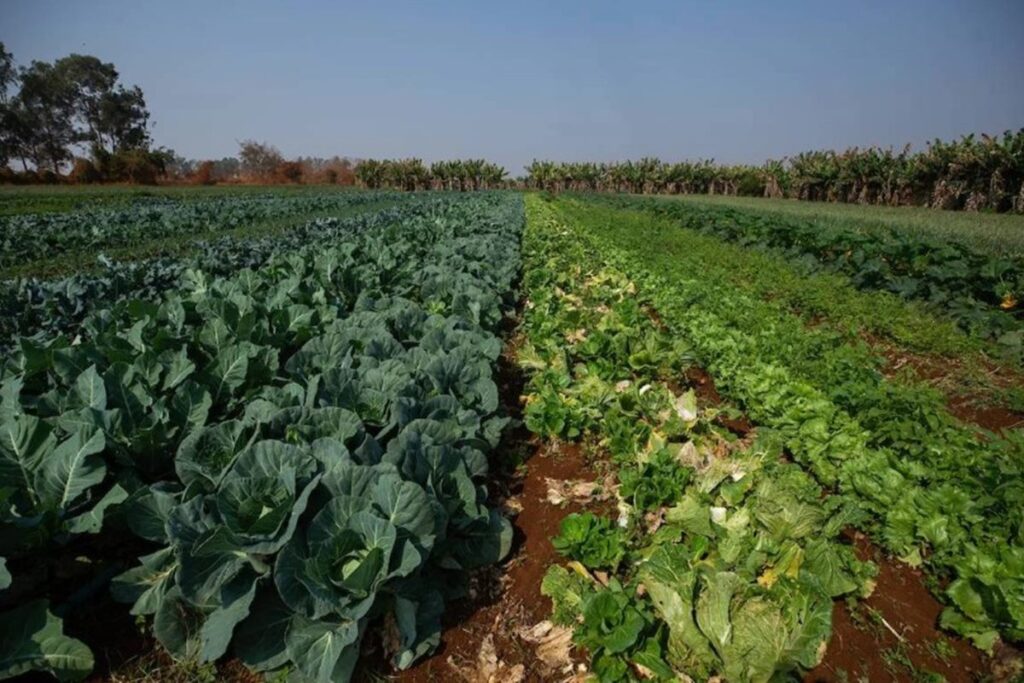 governo-federal-aprova-criacao-do-assentamento-oscar-niemeyer-no-df