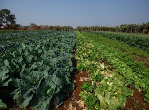 governo-federal-aprova-criacao-do-assentamento-oscar-niemeyer-no-df