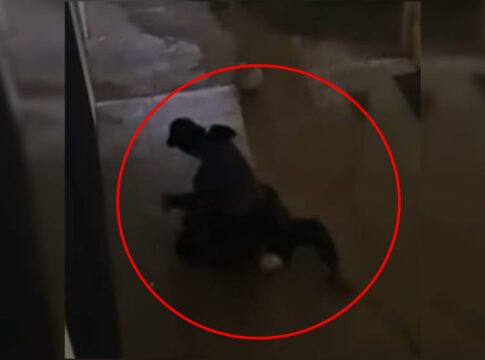 homem-em-situacao-de-rua-espanca-rival-no-“beco-do-crack”-da-asa-norte.-veja-video