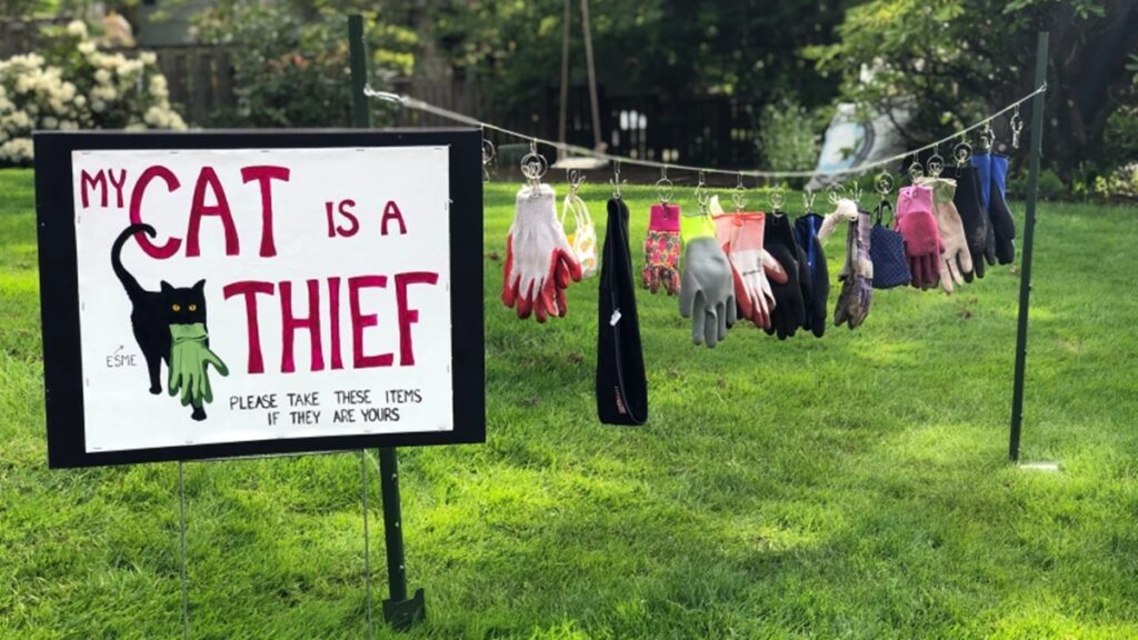 tutora-expoe-gata-e-faz-“brecho”-com-objetos-furtados-dos-vizinhos