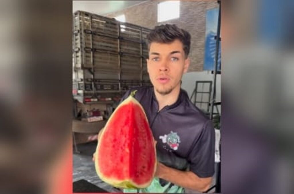 “gala-da-melancia”-viraliza-na-web-ao-mostrar-fruta-e-ganhar-elogios