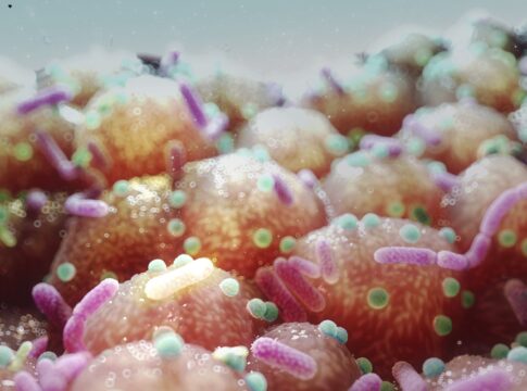 microbacteria-intestinal-pode-bloquear-ganho-de-peso,-sugere-estudo