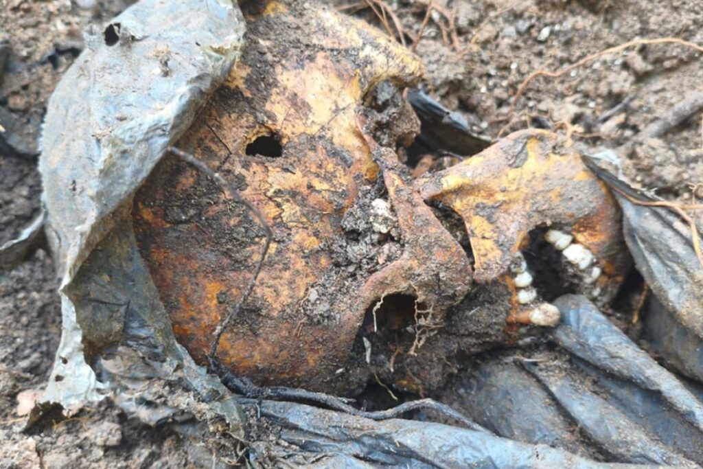 policia-investiga-cemiterio-clandestino-encontrado-em-comunidade-do-rio