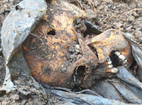 policia-investiga-cemiterio-clandestino-encontrado-em-comunidade-do-rio