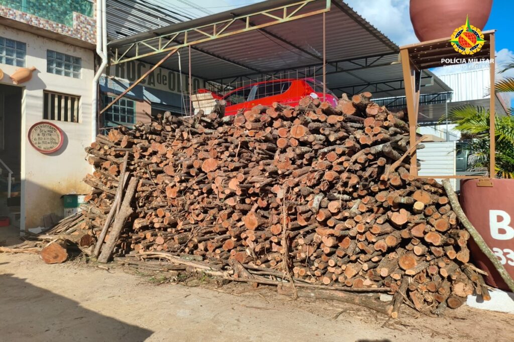 pm-flagra-descarregamento-ilegal-de-madeira-nativa-em-regiao-do-df