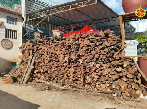 pm-flagra-descarregamento-ilegal-de-madeira-nativa-em-regiao-do-df