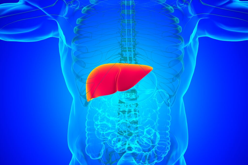 medica-lista-cha-popular-que-beneficia-a-digestao-e-a-saude-do-figado