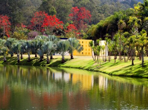 new-york-times-destaca-inhotim-em-seleta-lista-de-destinos-“hypados”