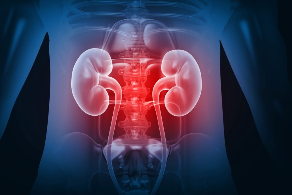 urologista-aponta-as-bebidas-que-mais-prejudicam-a-saude-dos-rins