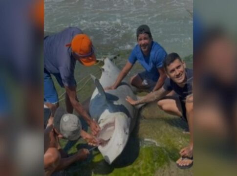 pescadores-sao-flagrados-tirando-tubaroes-da-agua-no-rn.-veja-video