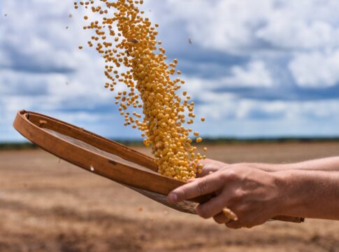 sp:-agro-fecha-ano-com-superavit-comercial.-china-e-principal-destino