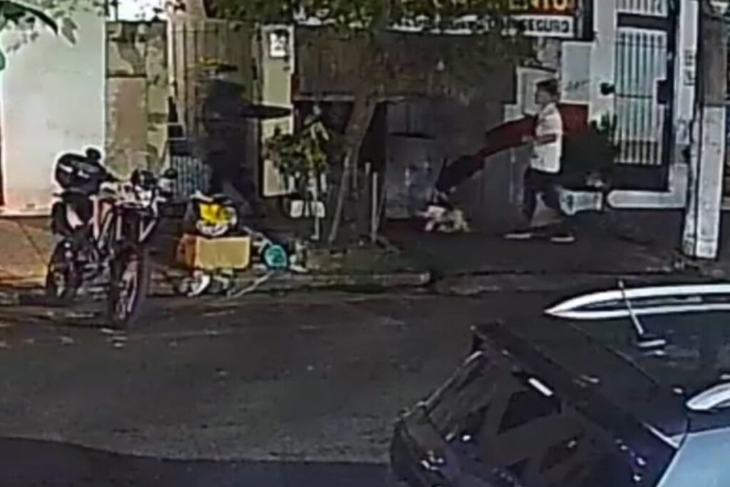 homem-que-passeava-com-cachorro-e-assaltado-a-mao-armada-em-pinheiros.-video