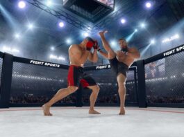 apostas-ufc:-guia-completo-com-melhores-sites-para-bets-em-lutas