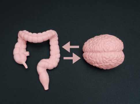 medico-explica-relacao-do-intestino-com-a-saude-mental;-veja-cuidados