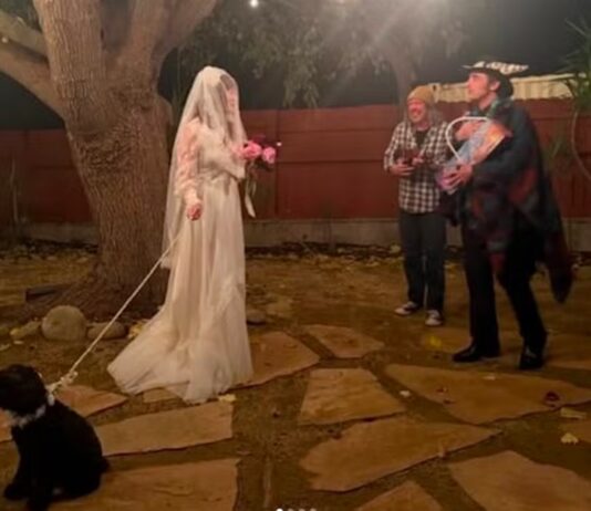 cantora-se-casa-com-o-proprio-cachorro-e-web-nao-perdoa:-“bizarra”