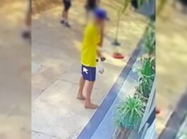 pais-de-adolescentes-que-incendiaram-apartamento-no-df-sao-condenados