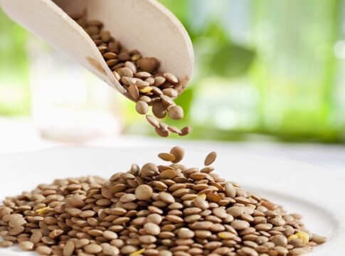 hamburguer-vegetariano-de-lentilha:-rico-em-fibras-e-sabor-memoravel