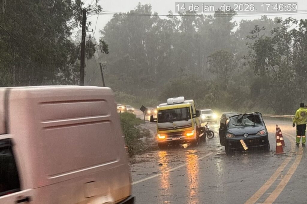 tempestade-de-quarta-(14/1):-queda-de-arvore-mata-mulher-em-sp
