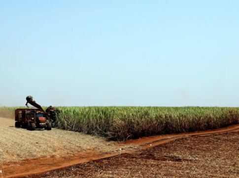 ibge-preve-safra-recorde-de-346-milhoes-de-toneladas-em-2025