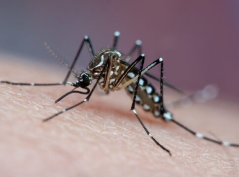 dengue:-caldas-novas-decreta-calamidade-com-87-casos-suspeitos-em-2026