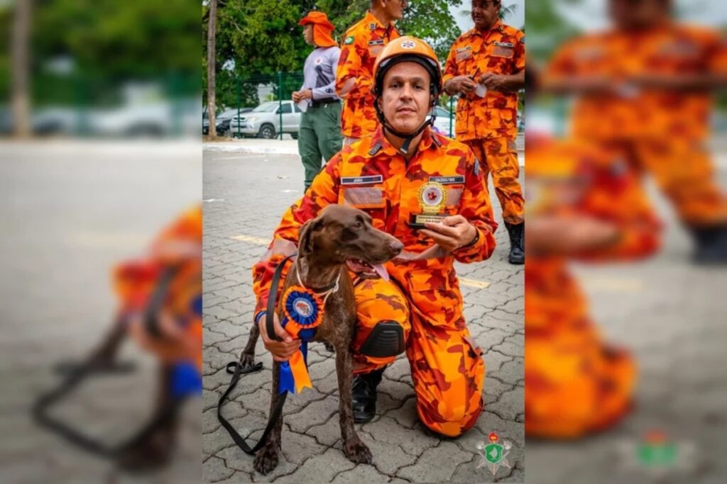 cadela-dos-bombeiros-morreu-“nos-bracos-de-seu-condutor”-em-bacabal