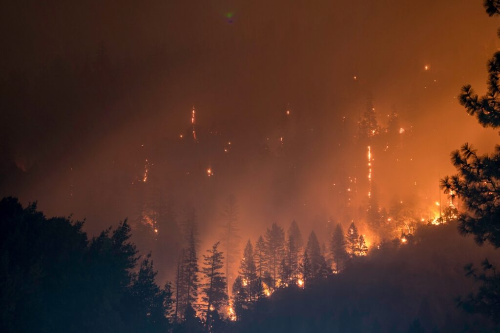 incendios-do-seculo-21-no-alasca-sao-os-mais-intensos-da-historia