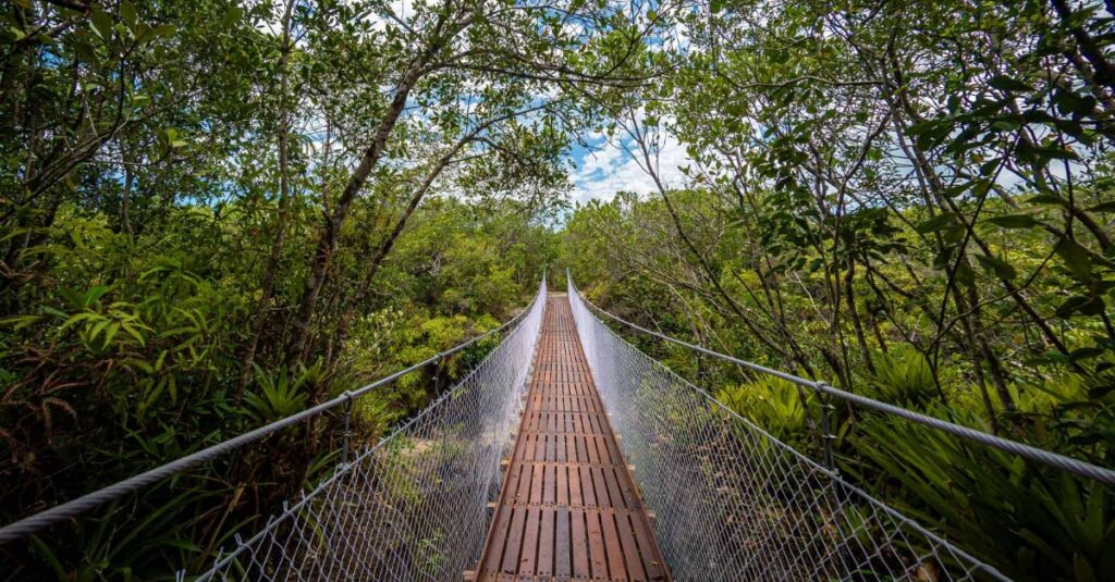 parana-inaugura-trilha-de-15-km-com-pontes-suspensas-e-passarelas