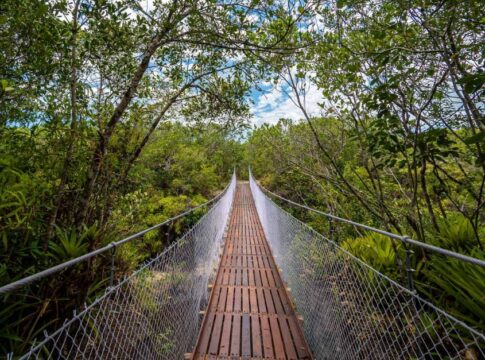 parana-inaugura-trilha-de-15-km-com-pontes-suspensas-e-passarelas