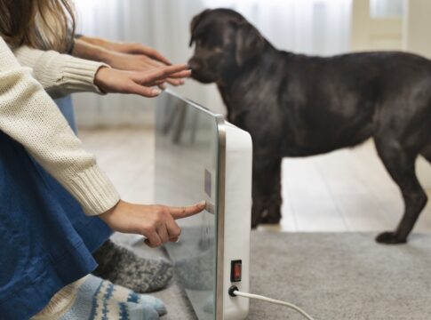 energia-eletrica-e-pets:-como-prevenir-riscos-e-agir-em-emergencias