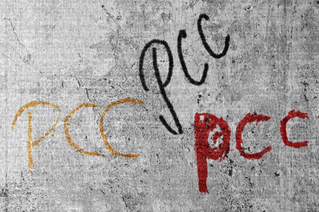 delegada-recem-empossada-e-presa-suspeita-de-vinculo-com-o-pcc