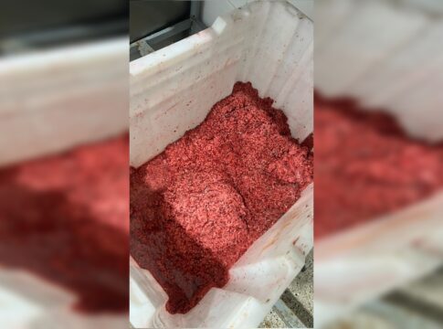 “espetinho-colorido”:-carne-com-corante-e-apreendida-em-fabrica-clandestina