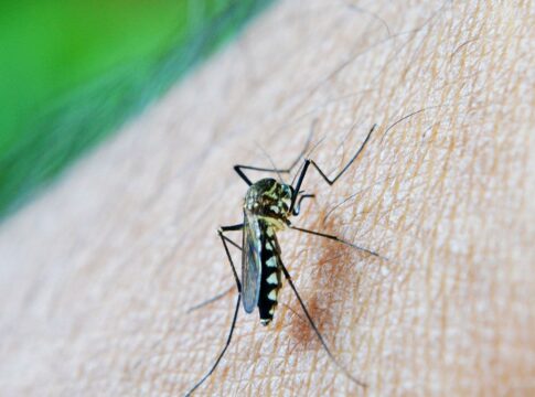 estado-de-sao-paulo-confirma-primeira-morte-por-dengue-em-2026