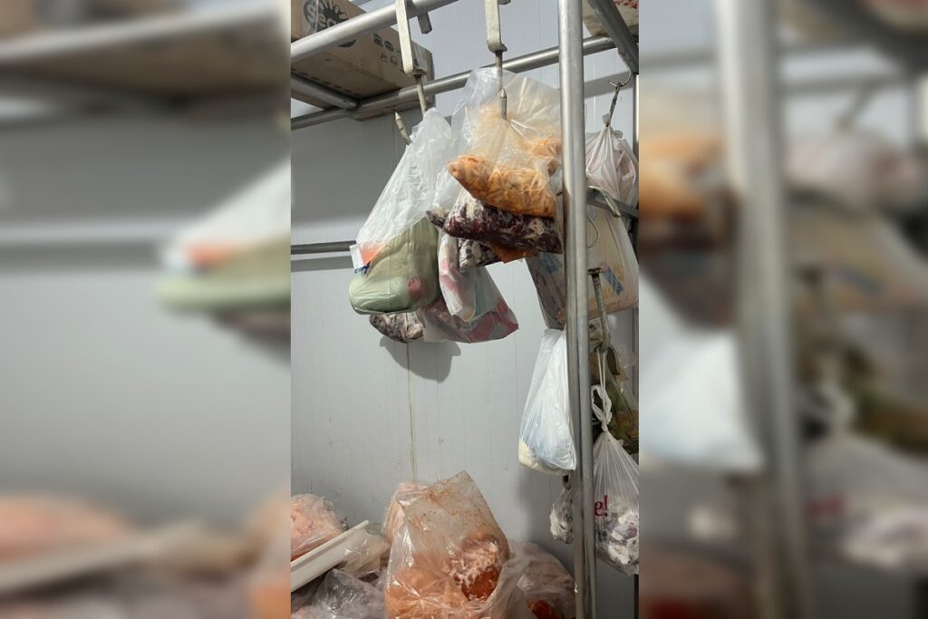 delegado-mostra-fabrica-que-fazia-espetinhos-com-carne-“pintada”-veja.-veja-video