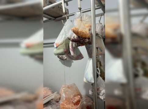 delegado-mostra-fabrica-que-fazia-espetinhos-com-carne-“pintada”-veja.-veja-video