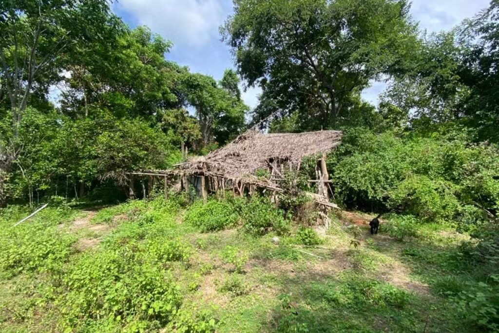 video-mostra-local-das-buscas-por-criancas-desaparecidas-em-bacabal