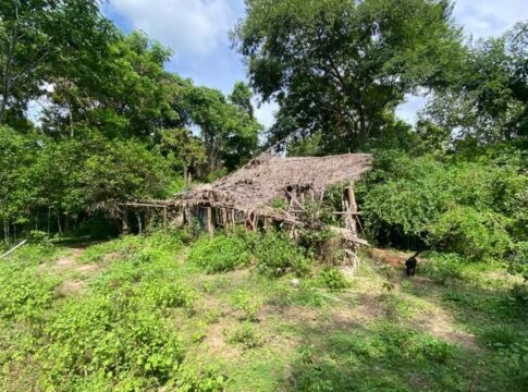 video-mostra-local-das-buscas-por-criancas-desaparecidas-em-bacabal