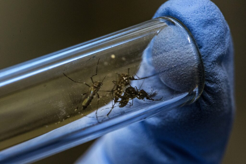 estado-de-sao-paulo-registra-primeira-morte-por-dengue-em-2026