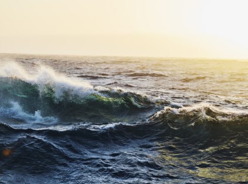 tratado-do-alto-mar-entra-em-vigor-neste-sabado-(17/1).-saiba-o-que-e