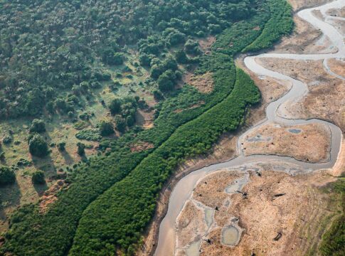 dezesseis-projetos-concorrem-em-edital-para-restauracao-da-amazonia